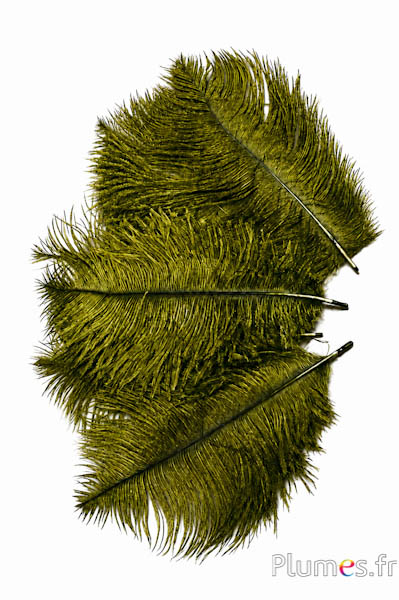 Strauss - 13-18 cm - kaki